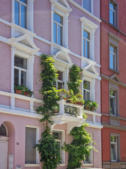 Cómo Crear un Jardín Urbano en tu Balcón con Flores