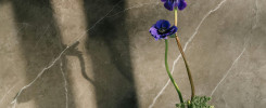 Decoración floral japonesa o Ikebana