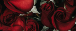 Celebra San Valentín en Flors Alòs